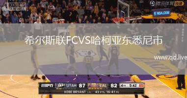 希尔斯联FCVS哈柯亚东悉尼市