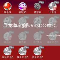 卧龙海岸狼队VSSD公鹿FC