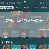 斯凯尔涅维采VS卡利什