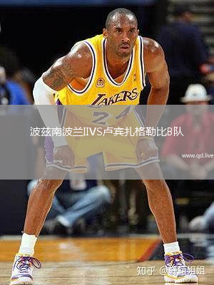 波兹南波兰IIVS卢宾扎格勒比B队