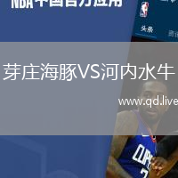 芽庄海豚VS河内水牛