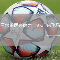 三水乐民兴健力宝VS广东飞马