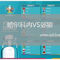 哈尔科内VS郊狼