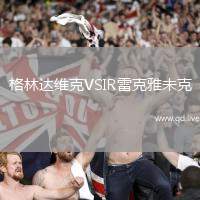格林达维克VSIR雷克雅未克