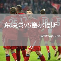 东峡湾VS塞尔福斯