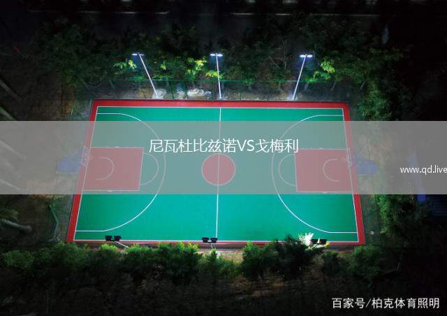 尼瓦杜比兹诺VS戈梅利