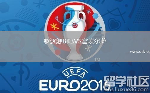 驱逐舰BKBVS富埃尔萨