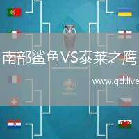南部鲨鱼VS泰莱之鹰