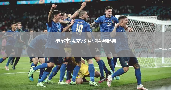 墨尔本猛虎VS埃尔特姆野猫