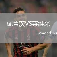 佩鲁茨VS莱维采