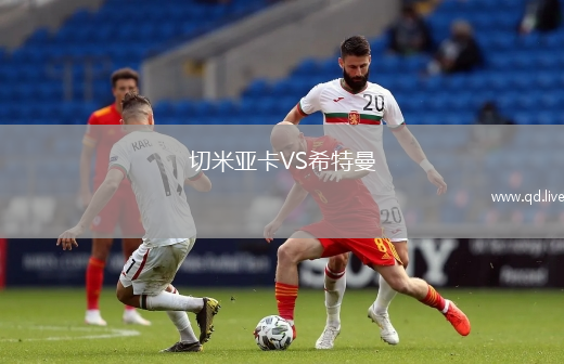 切米亚卡VS希特曼