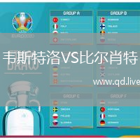 韦斯特洛VS比尔肖特