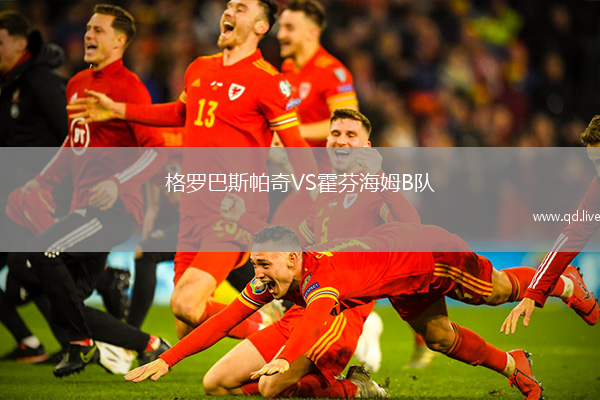 格罗巴斯帕奇VS霍芬海姆B队