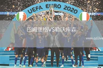 巴姆堡格VS勒沃库森