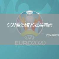 SGV费堡格VS霍芬海姆