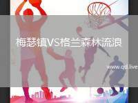梅瑟镇VS格兰森林流浪