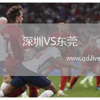 深圳VS东莞