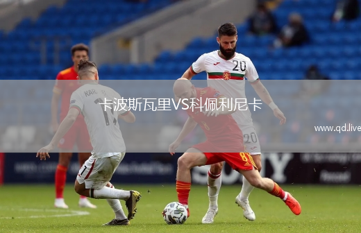 卡波斯瓦里VS科佩利尼卡