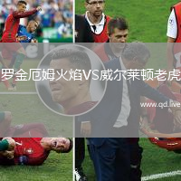 罗金厄姆火焰VS威尔莱顿老虎