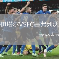 伊塔尔VSFC塞弗列沃