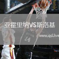 亚霍里纳VS斯洛基