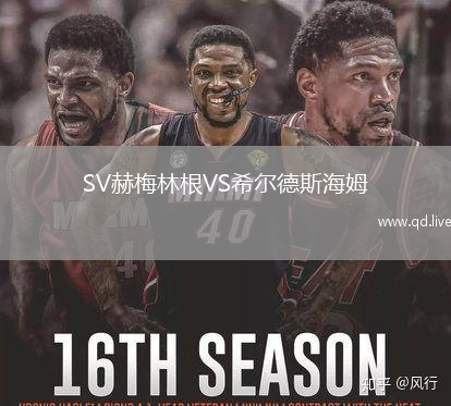SV赫梅林根VS希尔德斯海姆