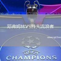 邓弗姆林VS科夫流浪者