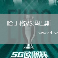 哈丁格VS玛巴斯