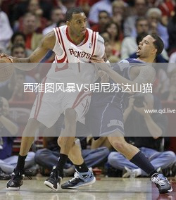 西雅图风暴VS明尼苏达山猫
