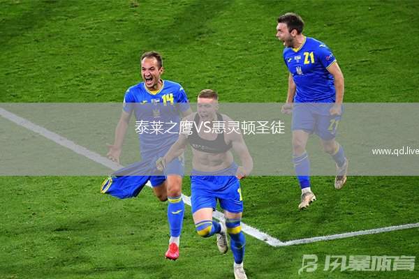 泰莱之鹰VS惠灵顿圣徒