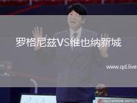罗格尼兹VS维也纳新城
