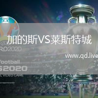 加的斯VS莱斯特城