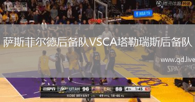 萨斯菲尔德后备队VSCA塔勒瑞斯后备队