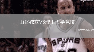 山谷独立VS理工大学竞技