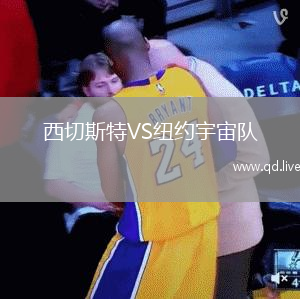 西切斯特VS纽约宇宙队