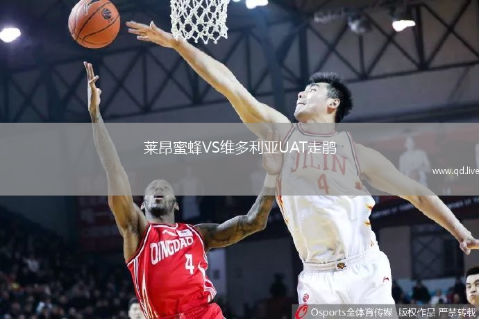莱昂蜜蜂VS维多利亚UAT走鹃