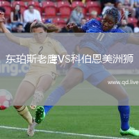 东珀斯老鹰VS科伯恩美洲狮