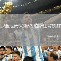 罗金厄姆火焰VS珀斯红背蜘蛛