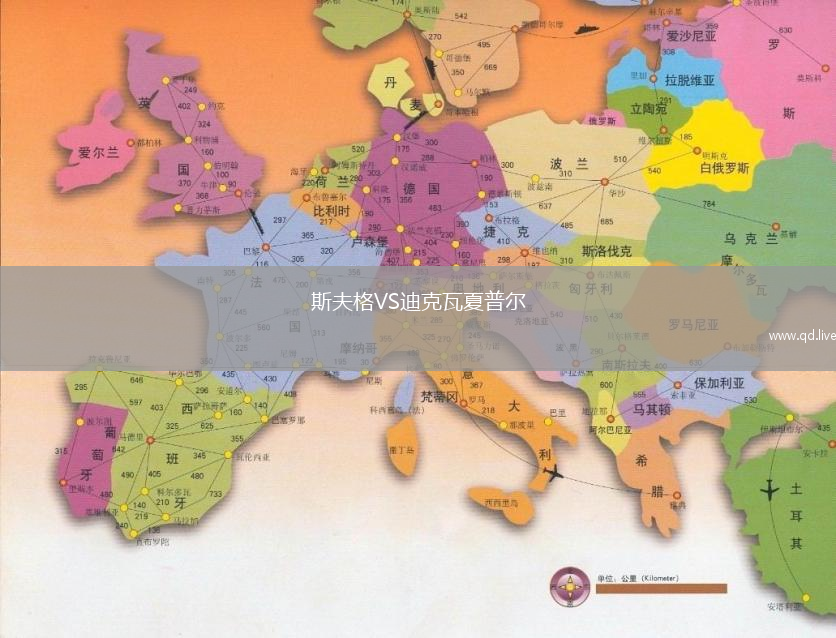 斯夫格VS迪克瓦夏普尔