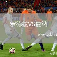 罗德兹VS戛纳
