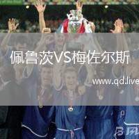 佩鲁茨VS梅佐尔斯
