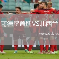 哥德堡盖斯VS北西兰