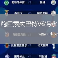 鲍里索夫巴特VS锡永