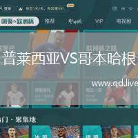 普莱西亚VS哥本哈根