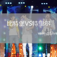 比特堡VS特里尔