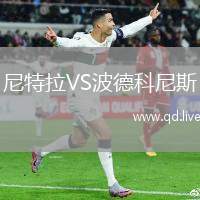 尼特拉VS波德科尼斯