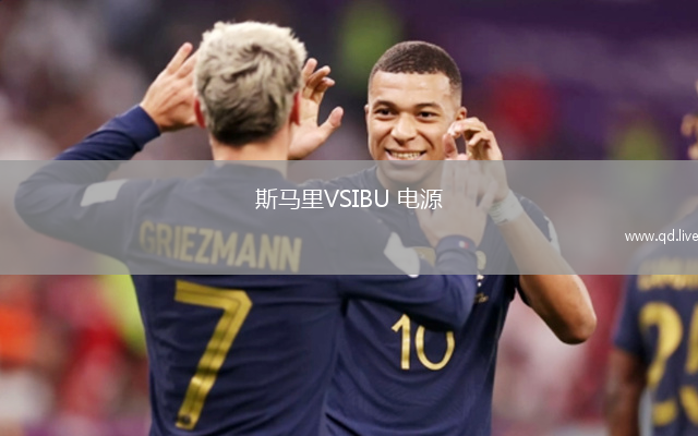 斯马里VSIBU 电源