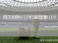 西汉姆联U19VS欧登塞U19