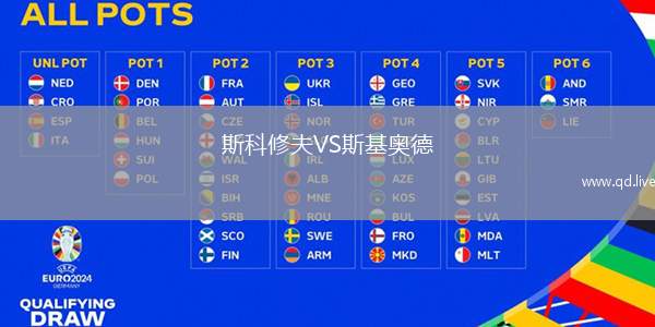 斯科修夫VS斯基奥德