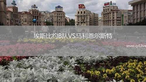 埃斯比约B队VS马利恩尔斯特